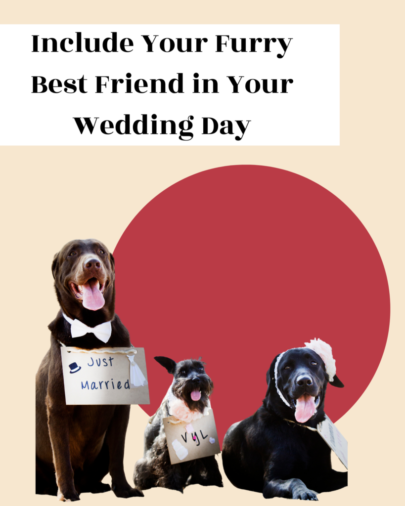 how to include dog in wedding